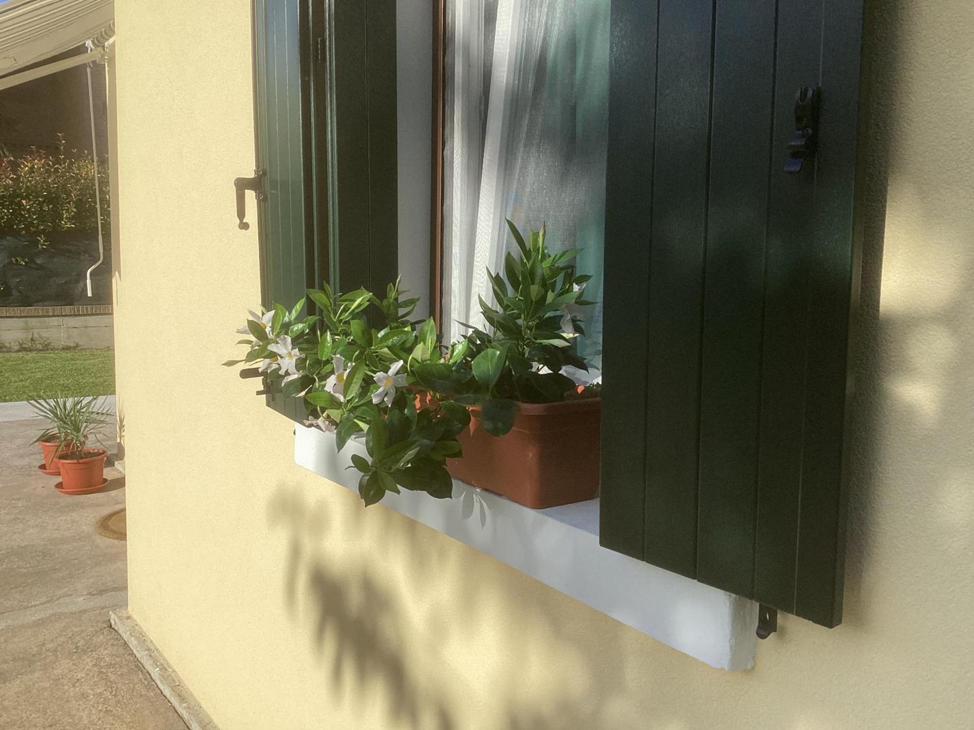 La Casa Gialla Scardovari Esterno foto